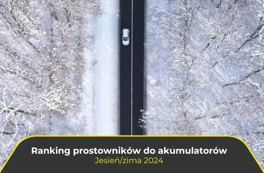 Najlepsze prostowniki do 300 zł - wybierz mądrze i oszczędzaj